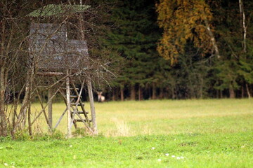 Biotechnical facility for hunting and observation for animals