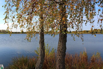 Obraz premium A unique image of autumn, beautiful nature on a warm and sunny day.