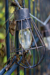 Photo of string lights hanging in the garden