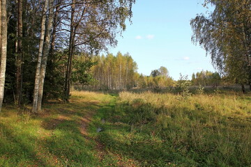 A unique image of autumn, beautiful nature on a warm and sunny day.