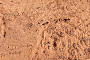 An abstract landscape of organic texture of soil, rock, sand with small craters.