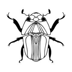 Abstract isolated vector black and white lined illustration design of bug