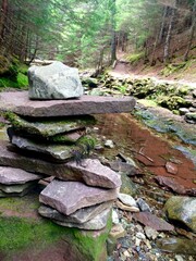 Obraz premium wooden bridge