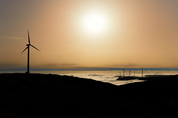 Obraz premium Silhouette of wind power plants against sun above misty landscape in background. Wind turbines in nature of Plateau Paul da Serra, Madeira island, Portugal.