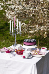 Picnic in spring blossoming on a wooden table and chairs with blueberry cake and tea