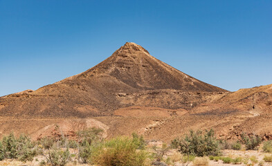 Fototapeta na wymiar harut hill a cone shaped sandstone formation with a patina of desert varnish covering the stones on the surface with desert plants in the foreground and a clear blue sky in the background