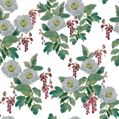 Seamless pattern with chrysanthemums and barberry. White background. Hand draw watercolor illustration. Fashion, garden.
