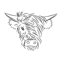 Fashionable bull head with bangs on a white background. The symbol of 2021 is the year of the white metal Ox.