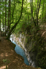 Gorges de la Tines, Haute-Savoie, France