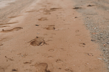 footprint in sand