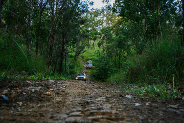 Two 4x4 trying Creb Track in North Queensland, Daintree Rainforest, Cape Tribulation, Australia © Flo129