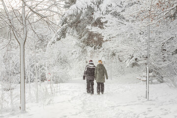 Fototapeta na wymiar Young couple walking hand in hand down a path in beautiful winter forest. Backside view. Man, woman holding hands under falling snow. Couple walking away. Nordic nature. Trees covered by snow. Sunny.