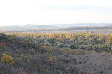 landscape with river and forest