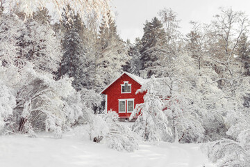Beautiful red wooden house in snow fairy forest Sweden. House painted in traditional Swedish color....