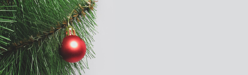 Red ball on a branch close-up. Christmas tree toy. Festive design