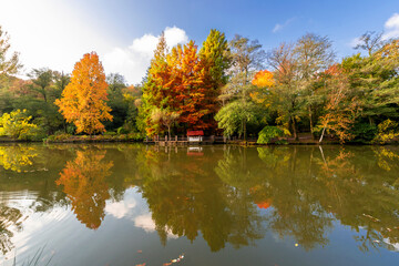 Ataturk Arboteryum in Sariyer district of Istanbul