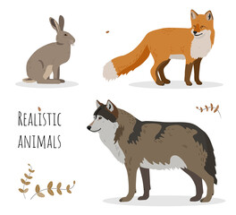 Vector set of realistic forest animals - fox, wolf and hare.