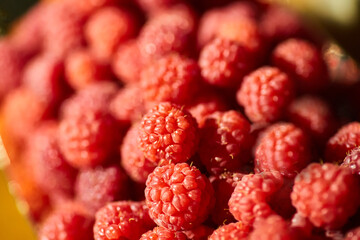 Fruit red ripe raspberries, close-up. Ecological products grown in the garden