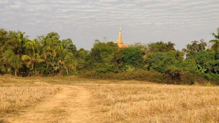 A field in the tropics and the top of Wat Samrong Knong. Battambang. Cambodia. South-East Asia