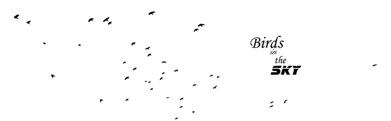 A flock of flying birds. Vector illustration