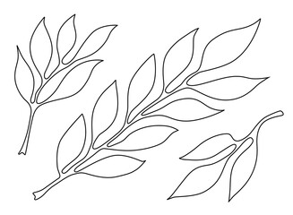 One Line Drawing Leaf Twig. Minimal One Line Drawing