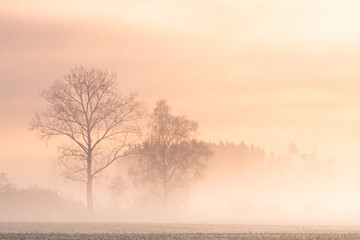 Nebel &uuml;ber der Landschaft