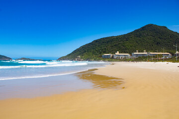 Fototapeta premium areia em Praia tropical do sul do Brasil, ilha de Florianópolis, Praia do Santinho, Florianopolis, Santa Catarina