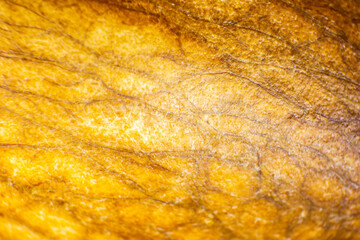 Natural texture of avocado inside. Eco background. Close up.