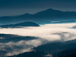 Obraz premium Fairy sunrise in hilly forest landscape in the morning. Wake up view in mountains