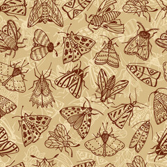 Butterflies. Moths. Hand drawn doodle moth vector seamless pattern. Night butterflies.