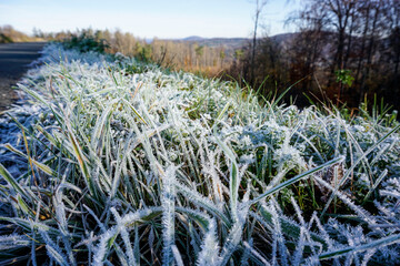 white frost on grass on a sunny day