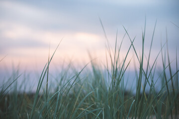 Dünenlandschaft in der blauen Stunde