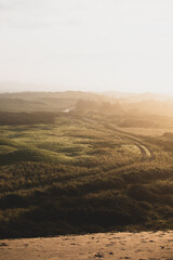 Feldweg im Sonnenaufgang