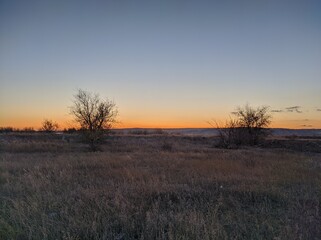 sunrise in the field