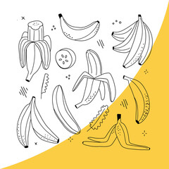Vector Set of Line-Art Bananas. Overripe Banana, Single Banana , Peeled Banana, Bunch of Bananas. Hand drawn isolated icons.