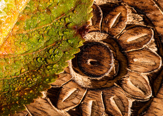 Close-up of a flower carved into wood with an autumn leaf on top of it