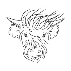 Fashionable bull head with bangs on a white background. The symbol of 2021 is the year of the white metal Ox.
