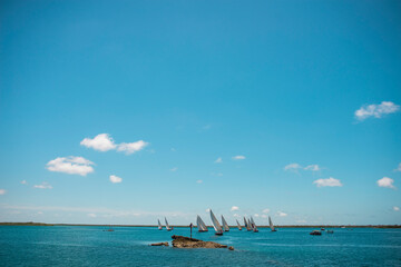 Sailboats along the beach