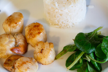 Plate of grilled scallops with rice and lamb's lettuce