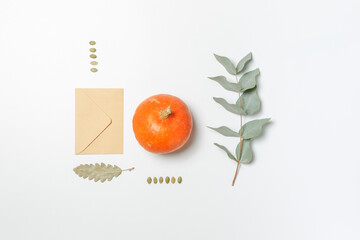 Layout on a white background with an envelope, orange pumpkin, seeds, plant and leaves. Top view with spa