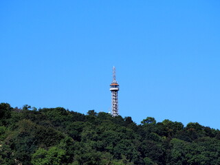 Fototapeta premium view of the lookout tower above the forest park by the Vltava, sunny summer day, tourism in the capital, well-being