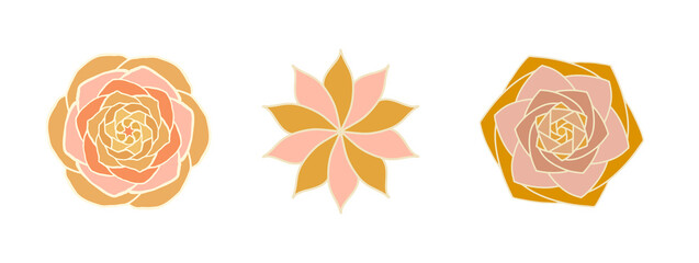 Vector set of flowers. Gold exotic succulents on a white background isolate. Floral drawn print style. Vector illustration with botanical elements. Stone rose