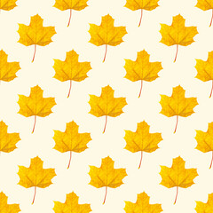 Naklejka na ściany i meble Top view flat lay autumnal leaves repeat seamless pattern on light background.