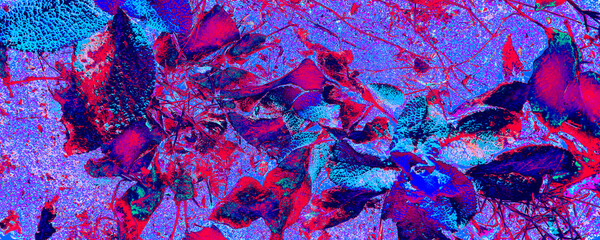 Neon Leaves Decor. Black Leaf Illustration. Perple Stylish Backdrop. Dark Modern Image. Fresh Background. Colourful Feminine Design. Flora Element. Abstract Canva.