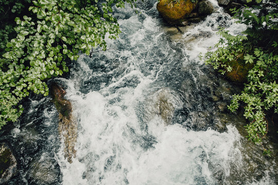 Running creek in the BC backcountry