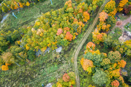 A Beautiful Aerial Look Down At A Curved Worn Dirt Trail Or Path Through Fall Or Autumn Foliage As The Green Leaves Begin To Change To Bright Red, Yellow And Orange Colors On A Hill In Wisconsin.