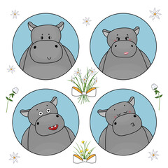 Couple of cute hippos, which are in love, hippo male makes a virtual kiss. There are flowers and bows around logos