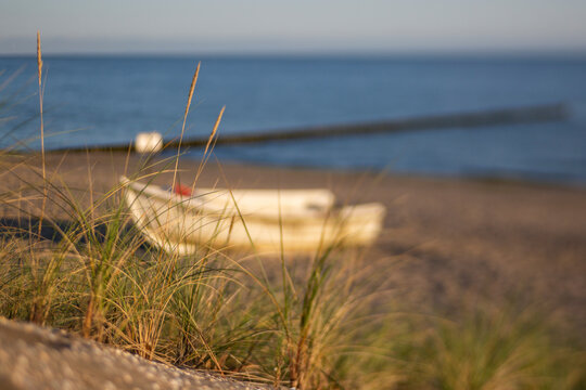 Grass growing on sandy coastal beach
