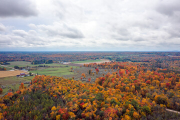 Beautiful fall aerial photograph of farm land and woods in upper Wisconsin during peak autumn colors with green tree leaves turning orange, yellow, and red and fluffy white clouds in the sky above.
