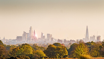 Morning London City Skyscraper with Autumn Trees Facing North East